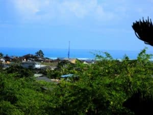 ocean View